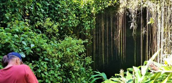 Exploration des innovations avec les cigarettes électroniques blu